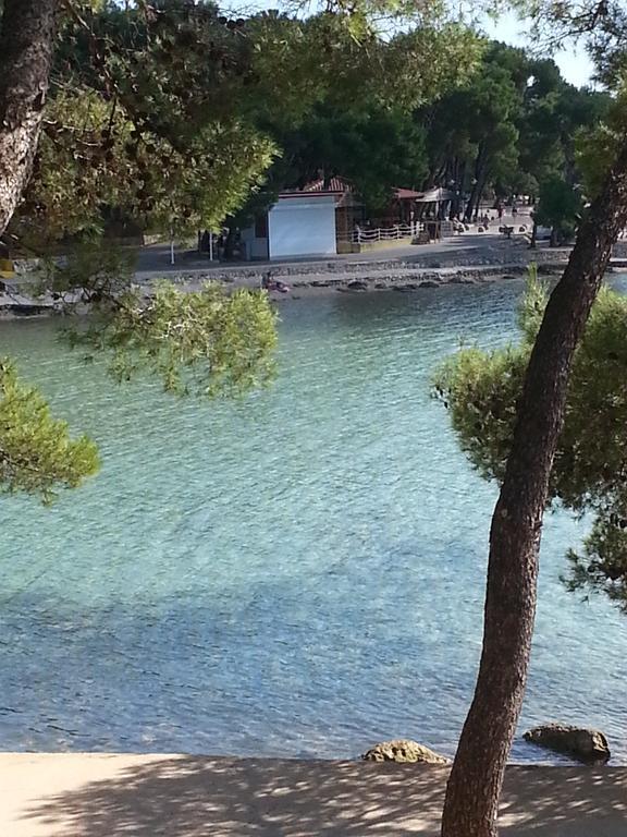 Apartments Santa Barbara Biograd Na Moru Zewnętrze zdjęcie