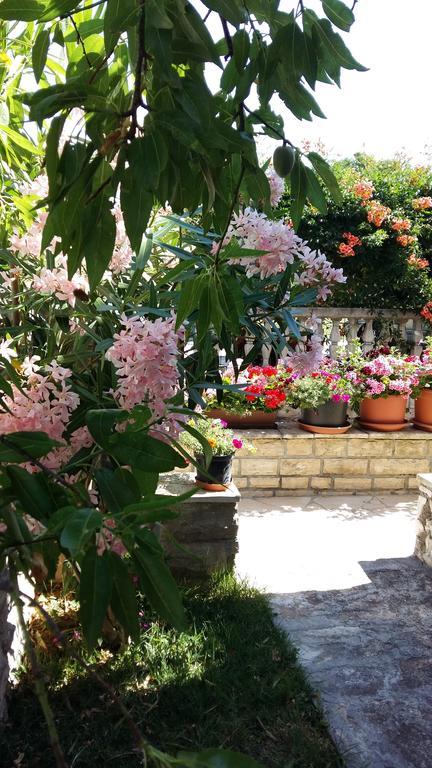 Apartments Santa Barbara Biograd Na Moru Zewnętrze zdjęcie